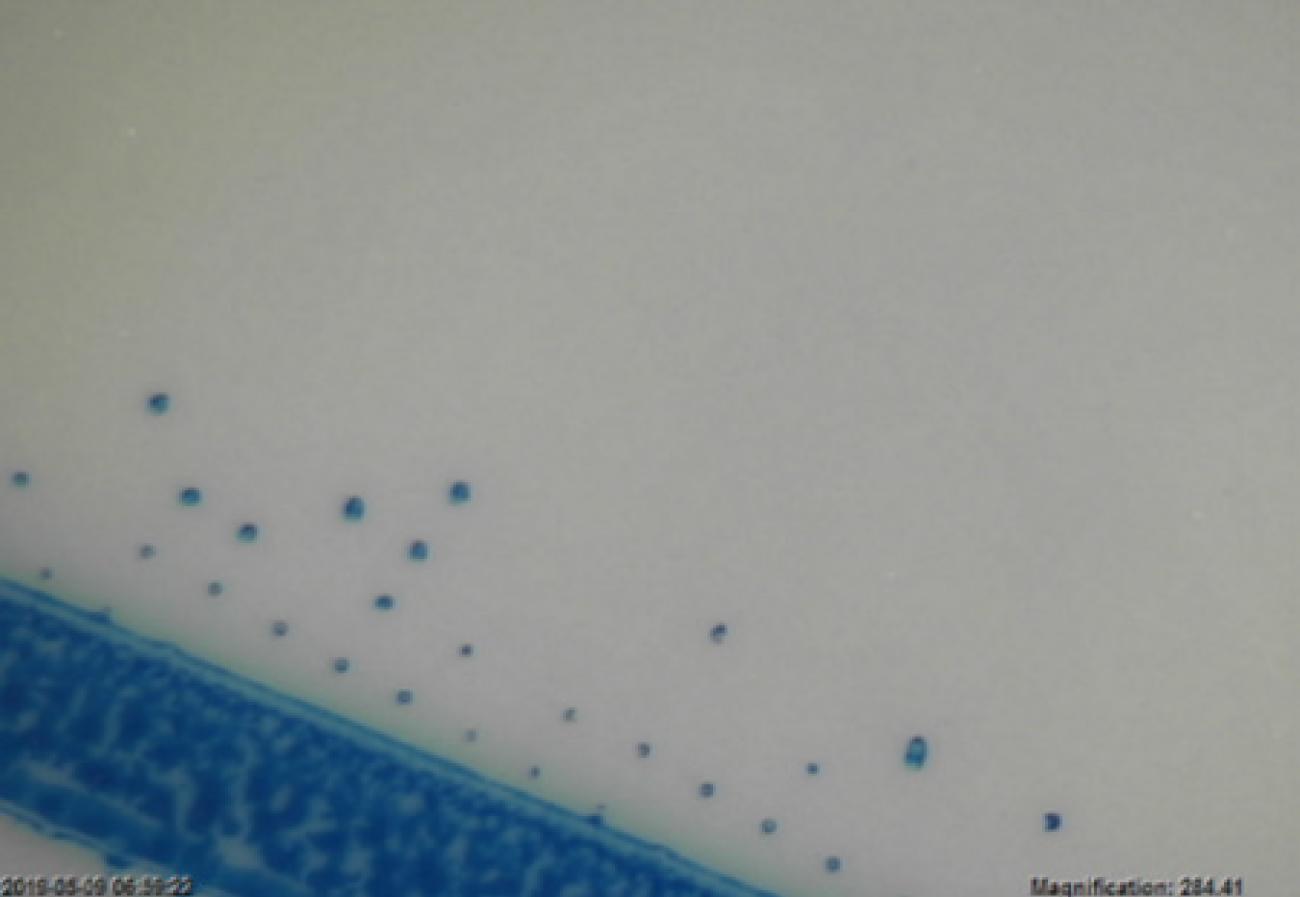 Print Signatures – Without X!Mask, fine dots cannot be printed